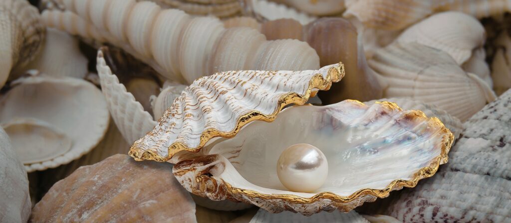 Tausend Muscheln eine Perle - eine ganz besondere Frau