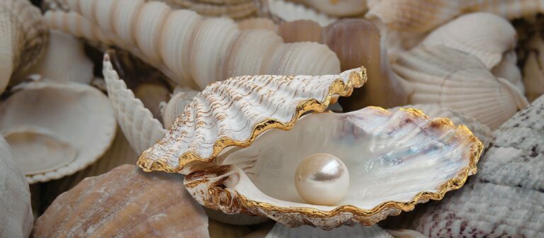 Tausend Muscheln eine Perle - eine ganz besondere Frau